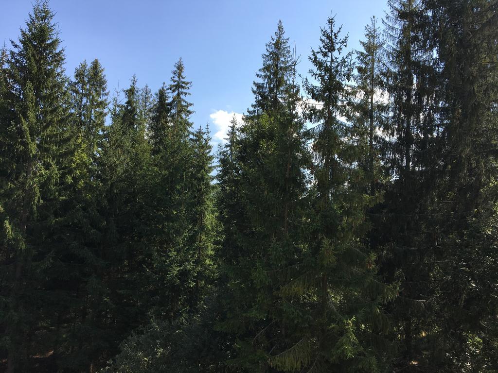 Apartmenty Patris Tatranská Štrba Exteriér fotografie