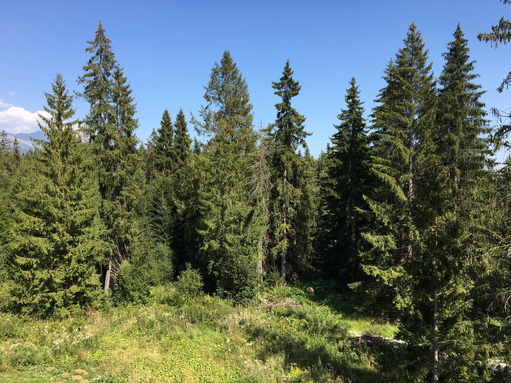 Apartmenty Patris Tatranská Štrba Exteriér fotografie