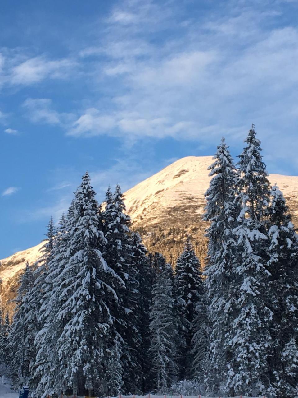 Apartmenty Patris Tatranská Štrba Exteriér fotografie